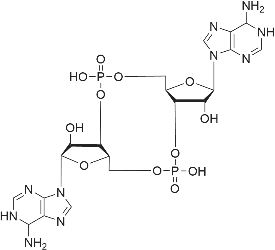 54447-84-6 (2R,3R,3aS,7aR,9R,10R,10aS,14aR)-2,9-Bis(6-amino-9H-purin-9-yl)-3,5,10,12-tetrahydroxyoct