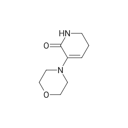 545445-40-7|3-Morpholino-5,6-dihydropyridin-2(1H)-one