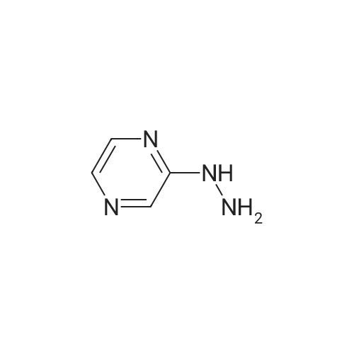 54608-52-5 2-Hydrazinopyrazine