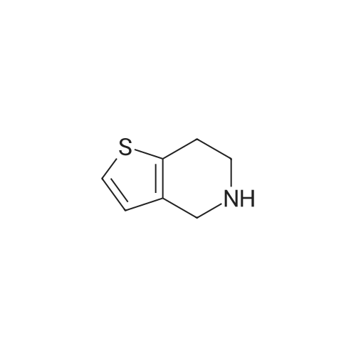 54903-50-3 4,5,6,7-Tetrahydrothieno[3,2-c]pyridine