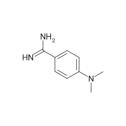 4-(Dimethylamino)benzimidamide
