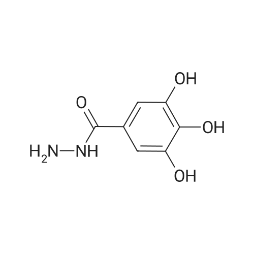 5782-85-4 3,4,5-Trihydroxybenzohydrazide