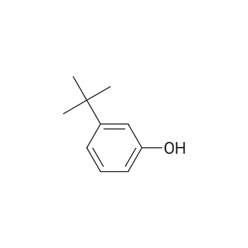 3-tert-Butylphenol