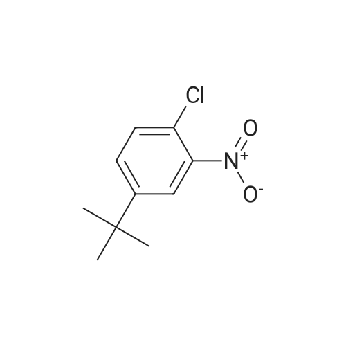 4-(tert-Butyl)-1-chloro-2-nitrobenzene