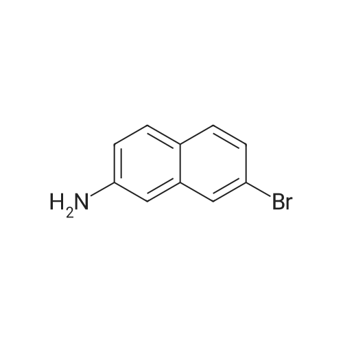 7-Bromonaphthalen-2-amine