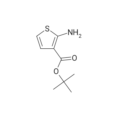 59739-05-8 tert-Butyl 2-aminothiophene-3-carboxylate