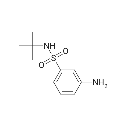 N-tert-Butyl 3-Aminophenylsulfonamide
