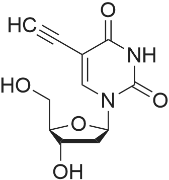 5-Ethynyl-2'-dU