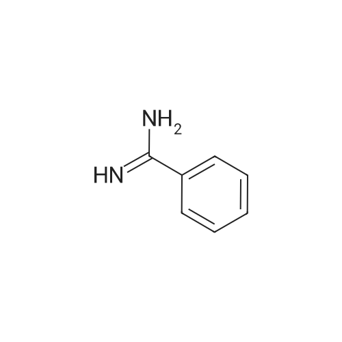 Benzimidamide