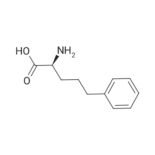 (S)-2-Amino-5-phenylpentanoic acid