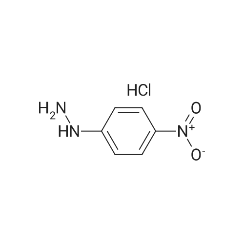 (4-Nitrophenyl)hydrazine hydrochloride
