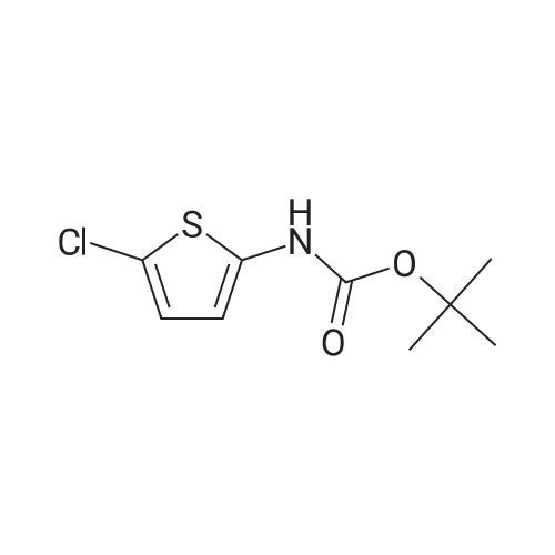 tert-Butyl (5-chlorothiophen-2-yl)carbamate