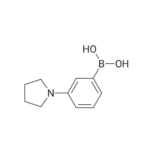 3-(Pyrrolidino)phenylboronic acid