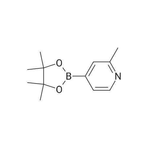 2-Methyl-4-(4,4,5,5-tetramethyl-1,3,2-dioxaborolan-2-yl)pyridine