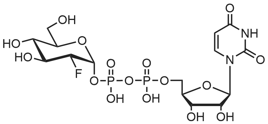67341-43-9 Uridine 5'-(trihydrogen diphosphate) P'-(2-deoxy-2-fluoro-α-D-glucopyranosyl) ester