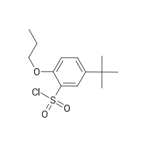5-(tert-Butyl)-2-propoxybenzene-1-sulfonyl chloride