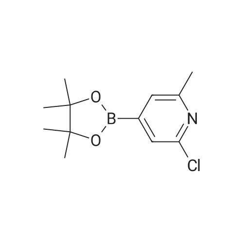 2-Chloro-6-methyl-4-(4,4,5,5-tetramethyl-1,3,2-dioxaborolan-2-yl)pyridine