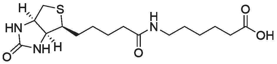6-(5-((3aS,4S,6aR)-2-Oxohexahydro-1H-thieno[3,4-d]imidazol-4-yl)pentanamido)hexanoic acid