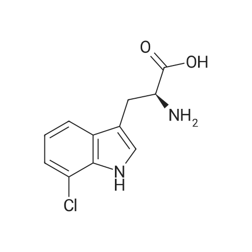 (S)-2-Amino-3-(7-chloro-1H-indol-3-yl)propanoic acid