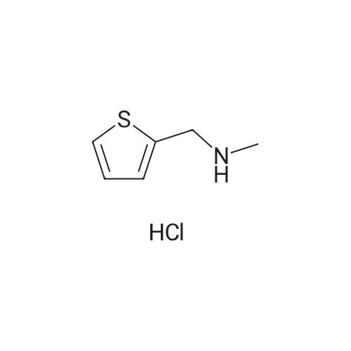 7404-67-3 N-Methyl-(2-thienylmethyl)amine Hydrochloride