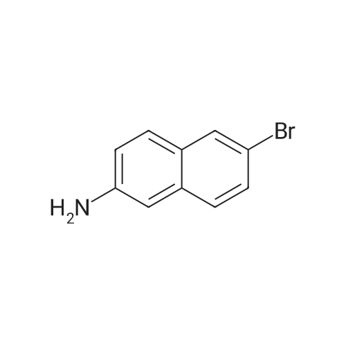 6-Bromonaphthalen-2-amine