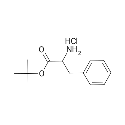 H-DL-Phe-OtBu.HCl