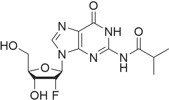 N-(9-((2R,3R,4R,5R)-3-Fluoro-4-hydroxy-5-(hydroxymethyl)tetrahydrofuran-2-yl)-6-oxo-6,9-dihydro-1H-p