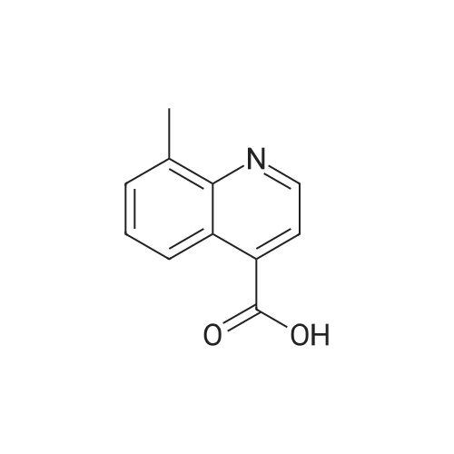 8-Methylquinoline-4-carboxylic acid