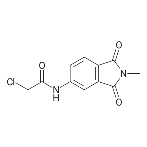 828299-84-9 2-Chloro-N-(2-methyl-1,3-dioxo-2,3-dihydro-1H-isoindol-5-yl)acetamide