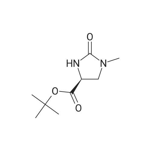 (S)-tert-Butyl 1-methyl-2-oxoimidazolidine-4-carboxylate