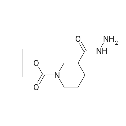 859154-32-8 tert-Butyl 3-(hydrazinecarbonyl)piperidine-1-carboxylate