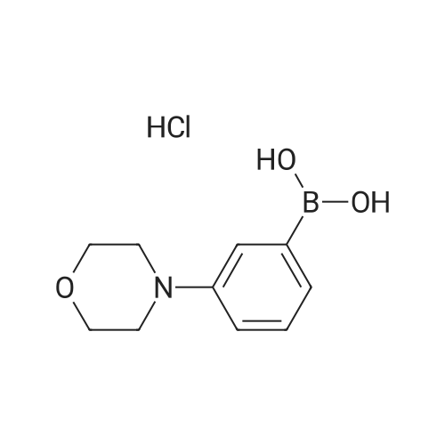 863248-20-8 (3-Morpholinophenyl)boronic acid hydrochloride