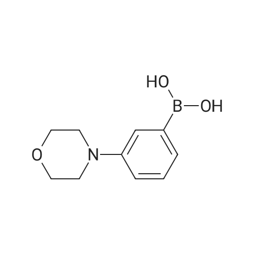 (3-Morpholinophenyl)boronic acid
