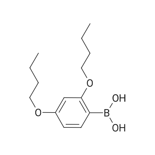 (2,4-Dibutoxyphenyl)boronic acid