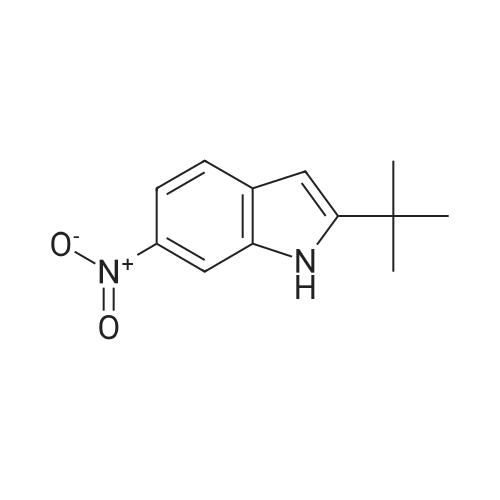 2-(tert-Butyl)-6-nitro-1H-indole