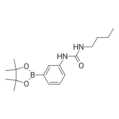 874299-07-7 1-Butyl-3-(3-(4,4,5,5-tetramethyl-1,3,2-dioxaborolan-2-yl)phenyl)urea