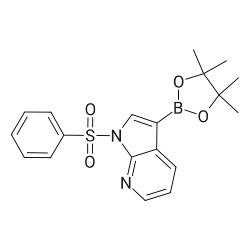 1-(Phenylsulfonyl)-3-(4,4,5,5-tetramethyl-1,3,2-dioxaborolan-2-yl)-1H-pyrrolo[2,3-b]pyridine
