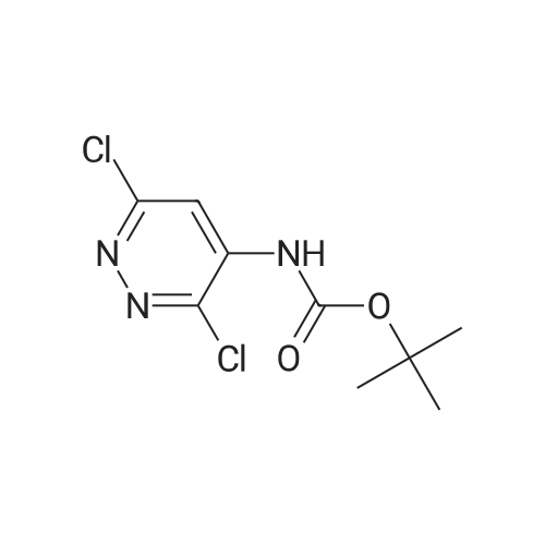 tert-Butyl (3,6-dichloropyridazin-4-yl)carbamate