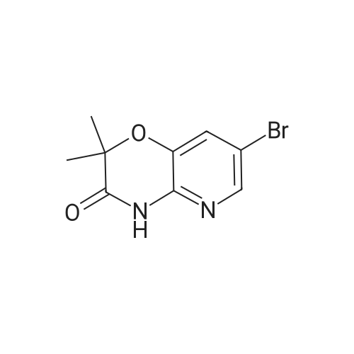 7-Bromo-2,2-dimethyl-2H-pyrido[3,2-b][1,4]oxazin-3(4H)-one