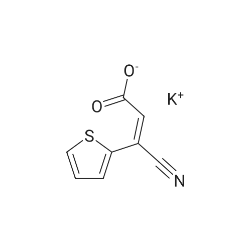Potassium (Z)-3-cyano-3-(thiophen-2-yl)acrylate