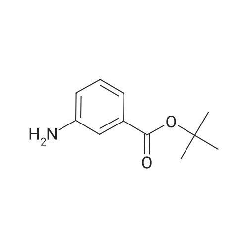 92146-82-2|tert-Butyl 3-aminobenzoate