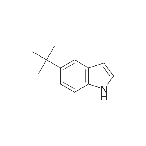 5-(tert-Butyl)-1H-indole