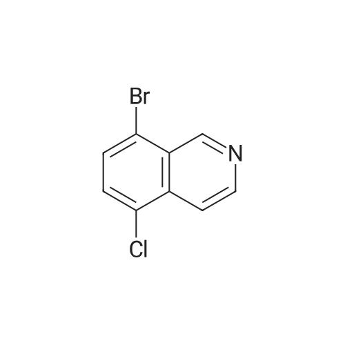 927801-25-0 8-Bromo-5-chloroisoquinoline
