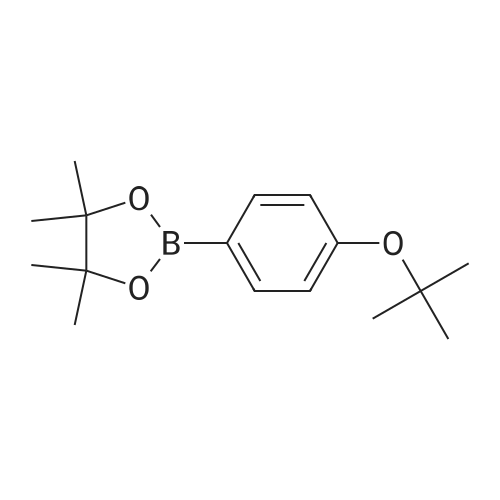 4-(tert-Butoxy)phenylboronic Acid Pinacol Ester
