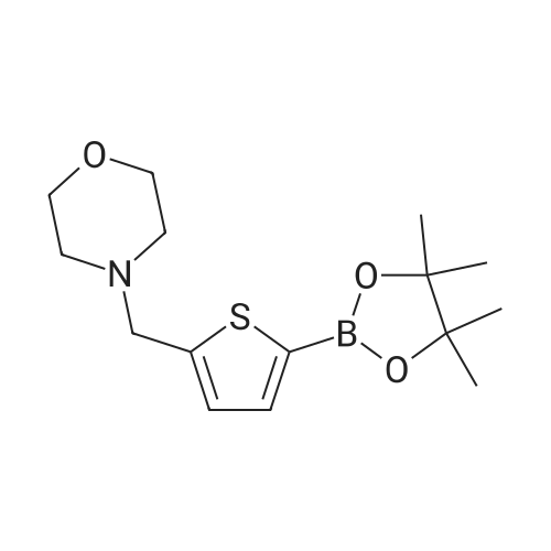 950603-39-1 4-((5-(4,4,5,5-Tetramethyl-1,3,2-dioxaborolan-2-yl)thiophen-2-yl)methyl)morpholine
