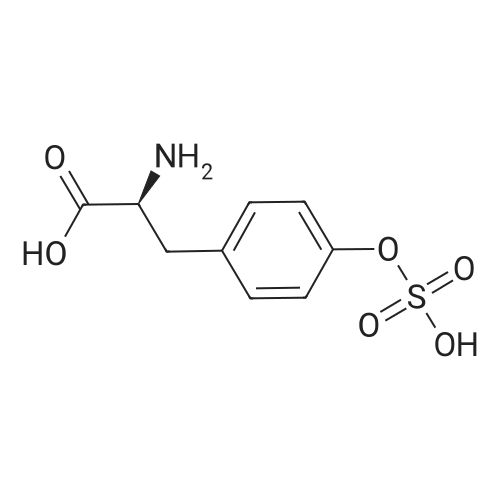 (S)-2-Amino-3-(4-(sulfooxy)phenyl)propanoic acid
