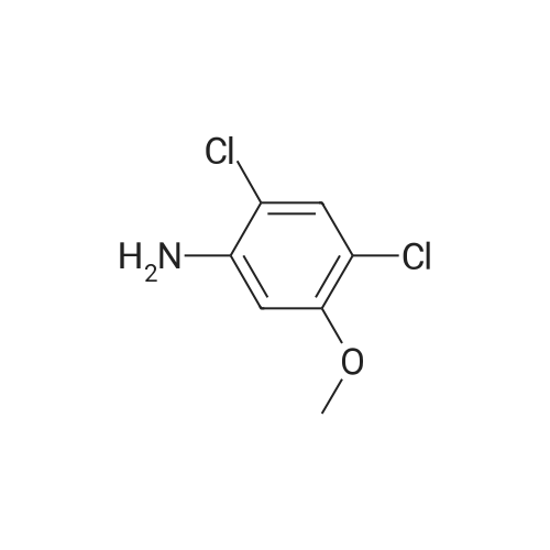 98446-49-2|2,4-Dichloro-5-methoxyaniline