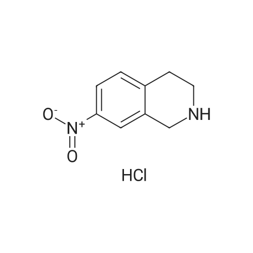 99365-69-2 7-Nitro-1,2,3,4-tetrahydroisoquinoline hydrochloride
